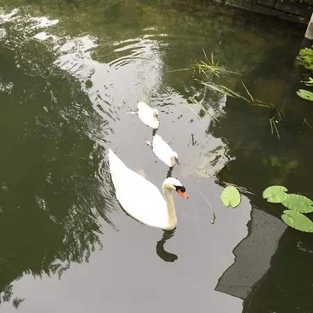 Apartment Loft Sur L'eau Avec Parking Paris