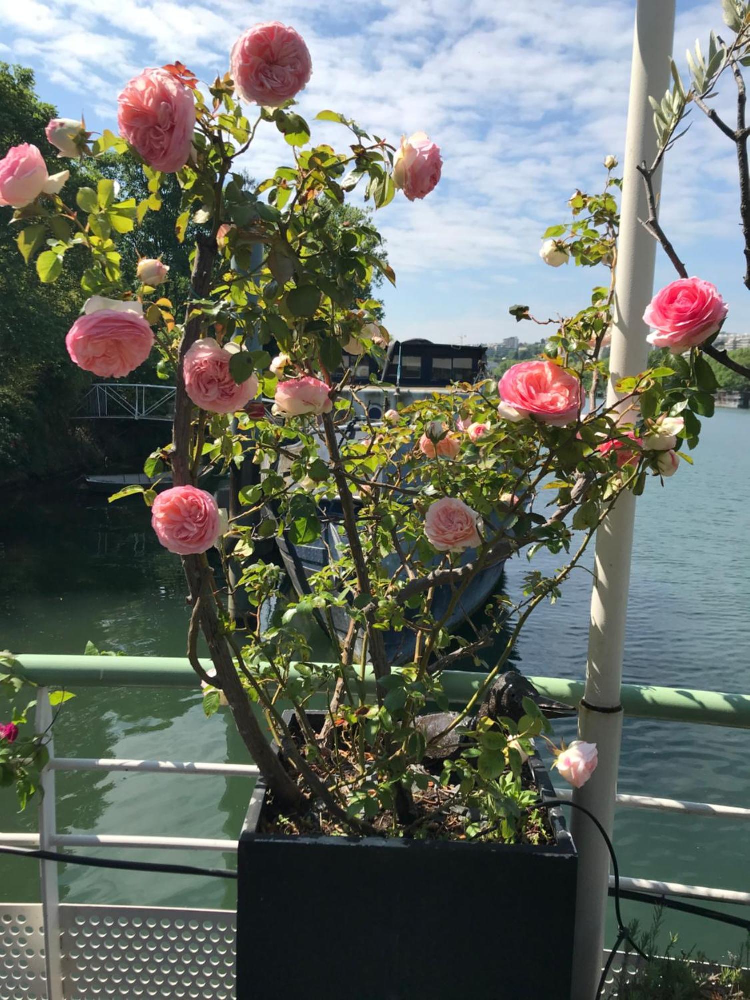 Apartment Loft Sur L'eau Avec Parking *